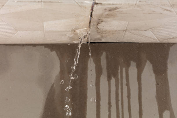 Professional Structural Drying technician working in Applegate, MI